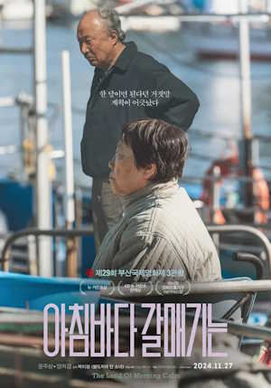 아침바다 갈매기는 (2025)
